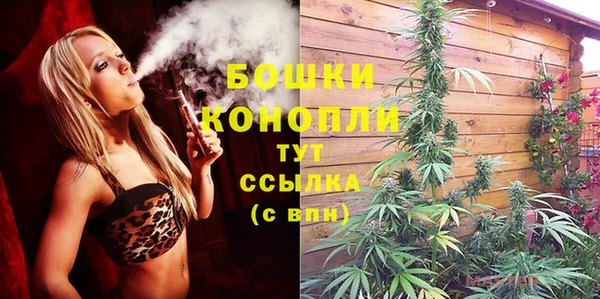 шишки Алексеевка