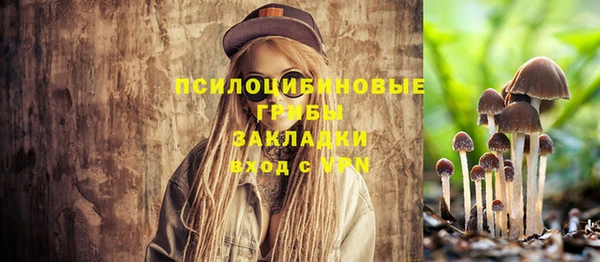 шишки Алексин
