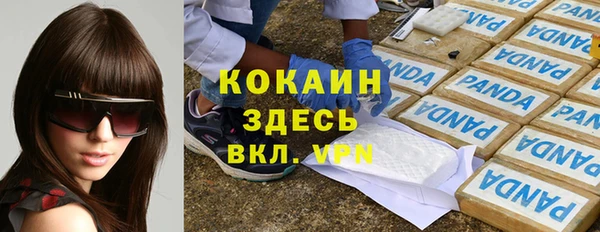 шишки Алексин